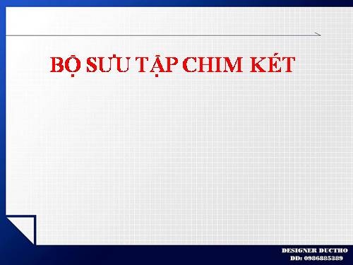 BỘ SƯU TẬP CHIM KÉT