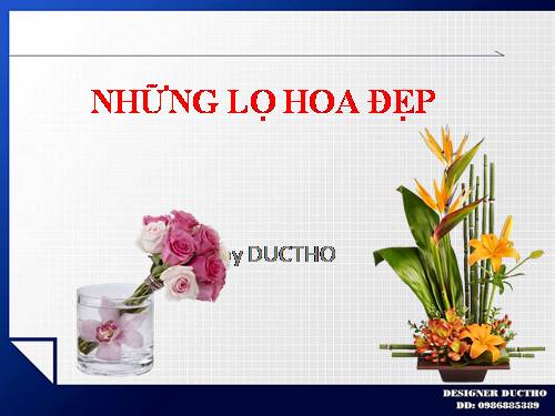 NHỮNG LỌ HOA ĐẸP