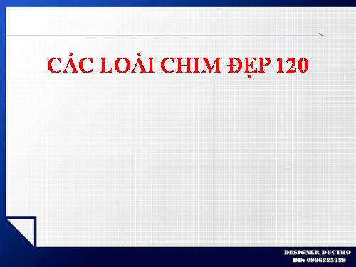 CÁC LOÀI CHIM ĐẸP 120