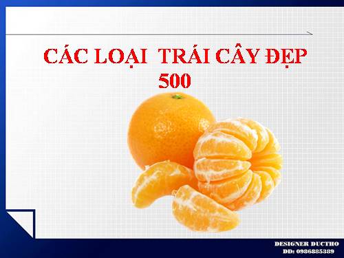 CÁC LOẠI  TRÁI CÂY ĐẸP 500