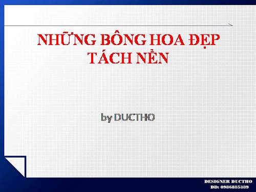 NHỮNG BÔNG HOA ĐẸP TÁCH NỀN