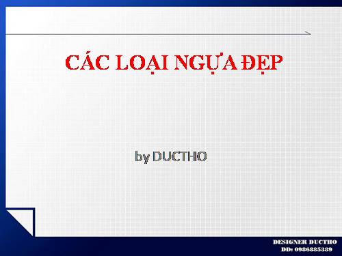 CÁC LOẠI NGỰA ĐẸP