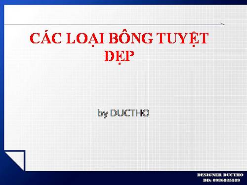 CÁC LOẠI BÔNG TUYỆT ĐẸP