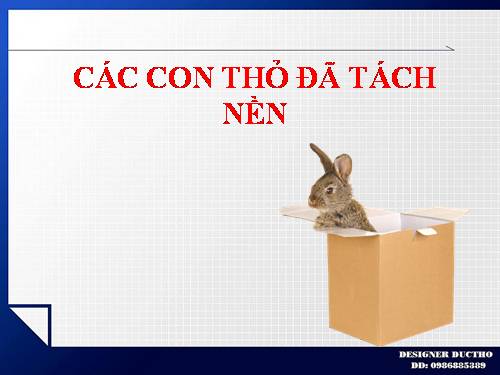 CÁC CON THỎ ĐÃ TÁCH NỀN