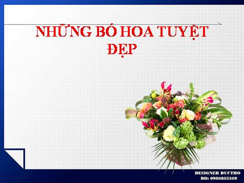 NHỮNG BÓ HOA TUYỆT ĐẸP