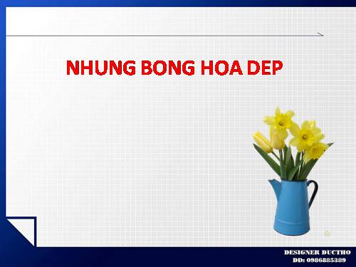 NHUNG BONG HOA DEP