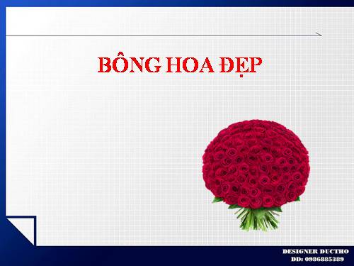 BÔNG HOA ĐẸP