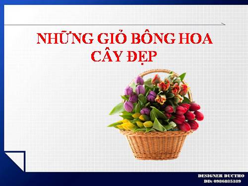 NHỮNG GIỎ BONG HOA ĐẸP