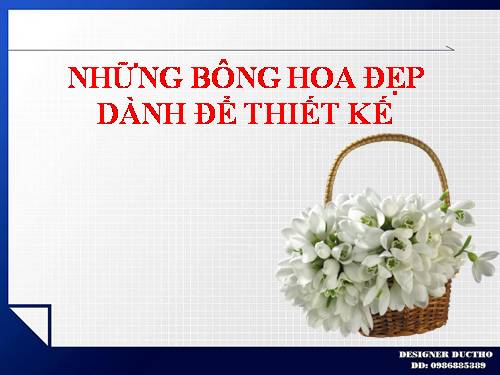 NHỮNG BÔNG HOA ĐẸP DÀNH ĐỂ THIẾT KẾ