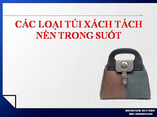 CÁC LOẠI TUI XÁCH TÁCH NỀN TRONG SUỐT