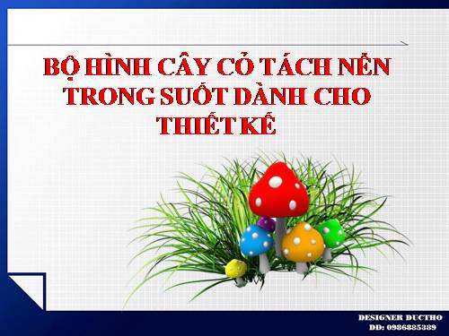 BỘ HÌNH CÂY CỎ TÁCH NỂN TRONG SUỐT