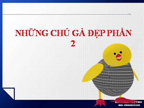 NHỮNG CHÚ GÀ ĐẸP PHẦN 2