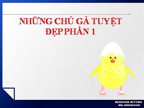 NHỮNG CHÚ GÀ TUYỆT ĐẸP PHẦN 1