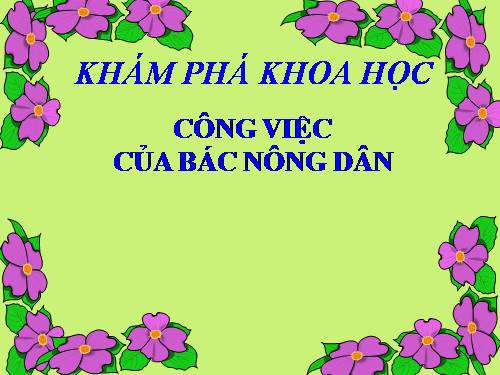 Công việc của bác nông dân