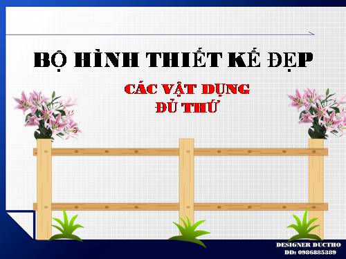 HINH THIET KE DU LINH  VUC