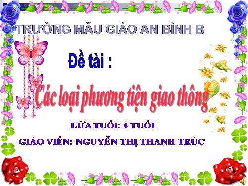 một số PTGT