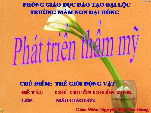 chuồn chuồn xinh- thuhang-MN Đại Hồng- Đại Lộc- QN