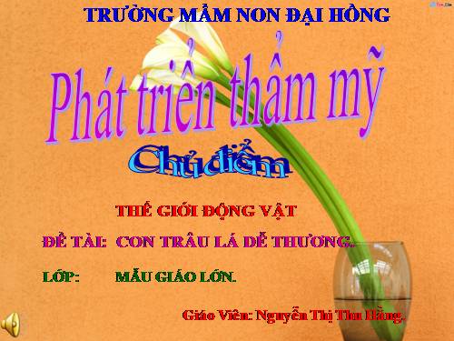 CON TRÂU LÁ DỄ THƯƠNG- MN ĐẠI HỒNG-ĐẠI LỘC QUẢNG NAM