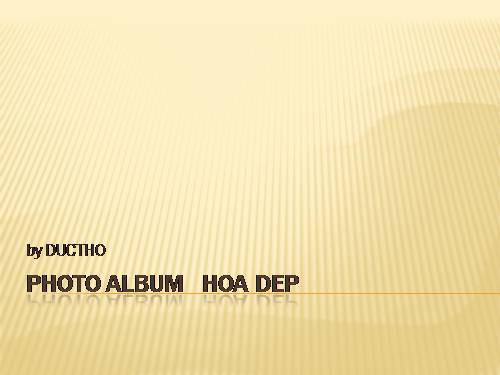 Photo Album   hoa dep