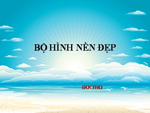 BỘ HÌNH NỀN ĐẸP 100