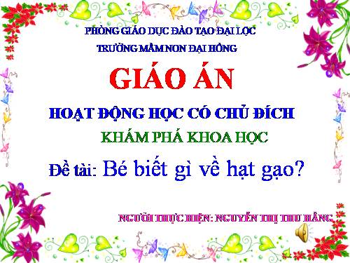 khám phá khoa hoc HẠT GẠO HẰNG