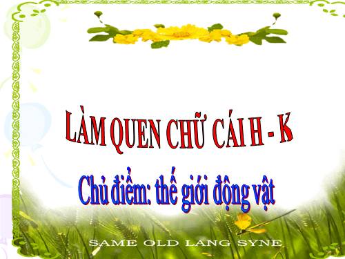 LQCC H - K Hiệu ứng tốt