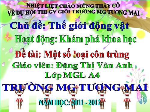 Côn trùng ( Thiết kế hiệu ứng được)