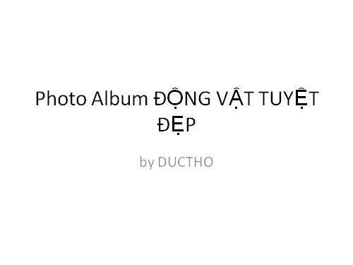 Photo Album DONG VAT 55.ppt