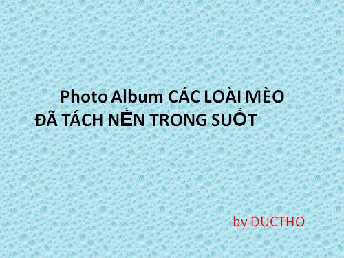 Photo Album CÁC LOÀI MÈO