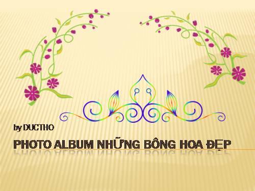 Photo Album NHỮNG BÔNG HOA ĐẸP PHAN MOT