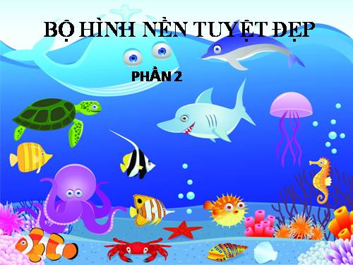 BỘ HÌNH NỀN TUYỆT ĐẸP 2