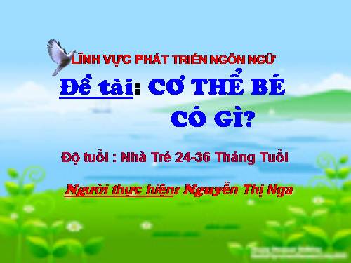 lĩnh vực phát triển ngôn ngữ