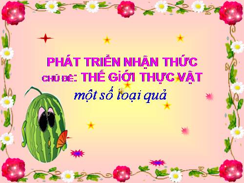 Một số loại quả