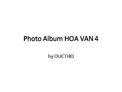 Photo Album HOA VAN 4