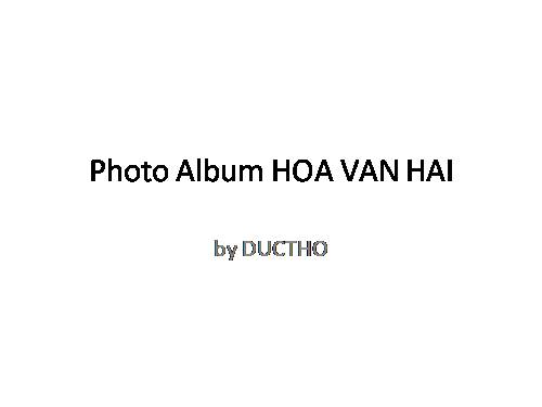 Photo Album HOA VAN HAI