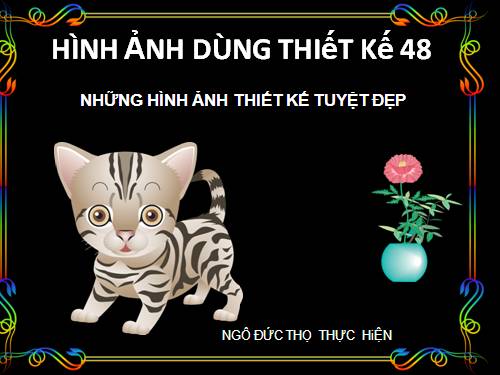 HINH ANH THIET KE 48