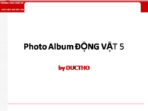 Photo Album ĐỘNG VẬT 5