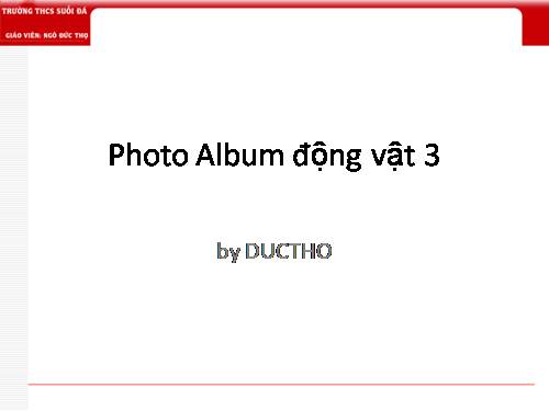 Photo Album động vật 3