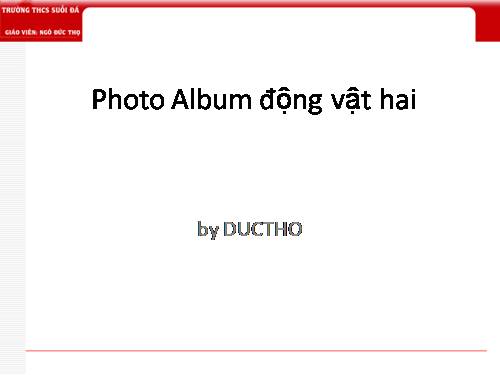 Photo Album động vật hai