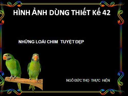 HINH ANH THIET KE 42