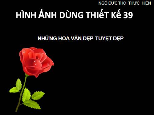 HINH ANH THIET KE 39