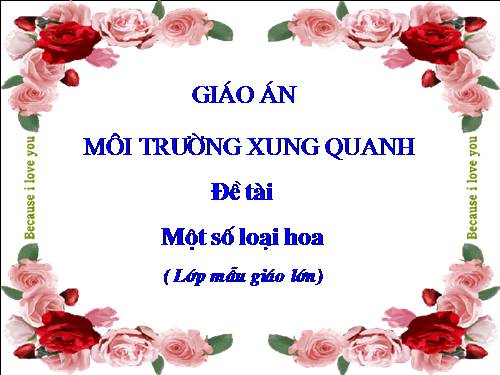 Phat triển nhận thức