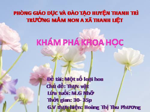 Một số loại hoa