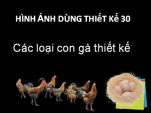 HINH ANH THIET KE 31