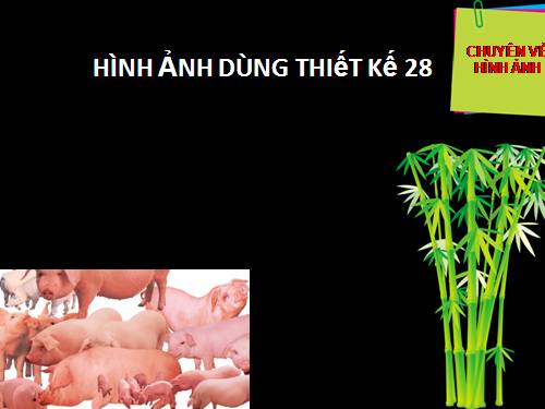 HINH ANH THIET KE 28