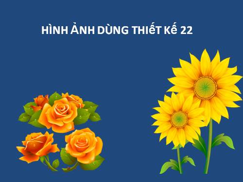 HINH ANH THIET KE 22