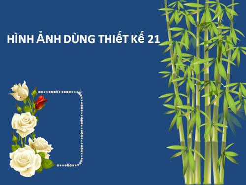 HINH ANH THIET KE 21