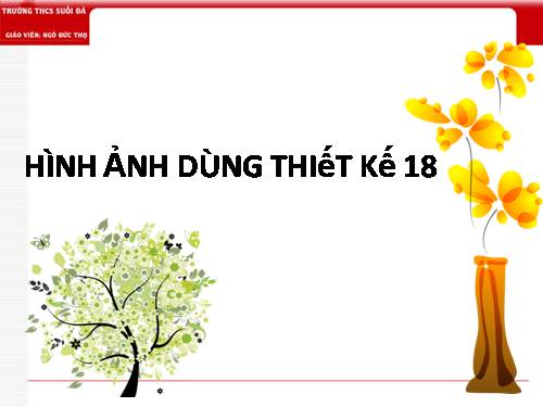 HINH ANH THIET KE 19