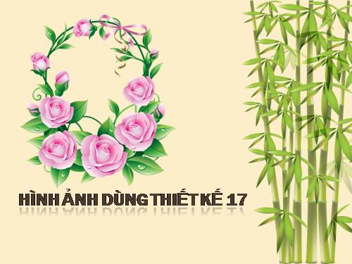 HINH ANH THIET KE 17