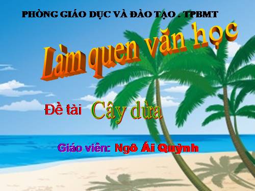 THMTXQ :CÂY DỪA